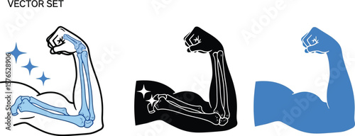 Vector set showing arm muscles and bones in different styles and colors on white