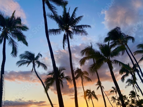 hawaiian sunset with palm trees