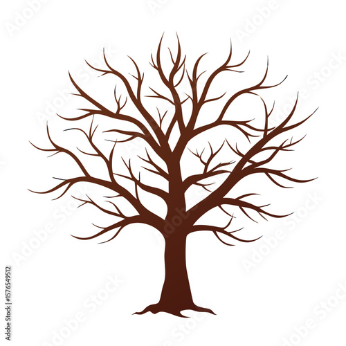 A bare tree with intricate branches, brown silhouette on white background