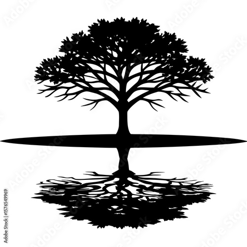 A silhouette of a tree with prominent roots its reflection