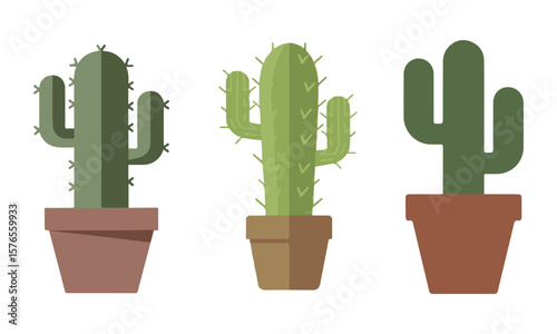Three potted green cacti with brown pots cactus potted plant