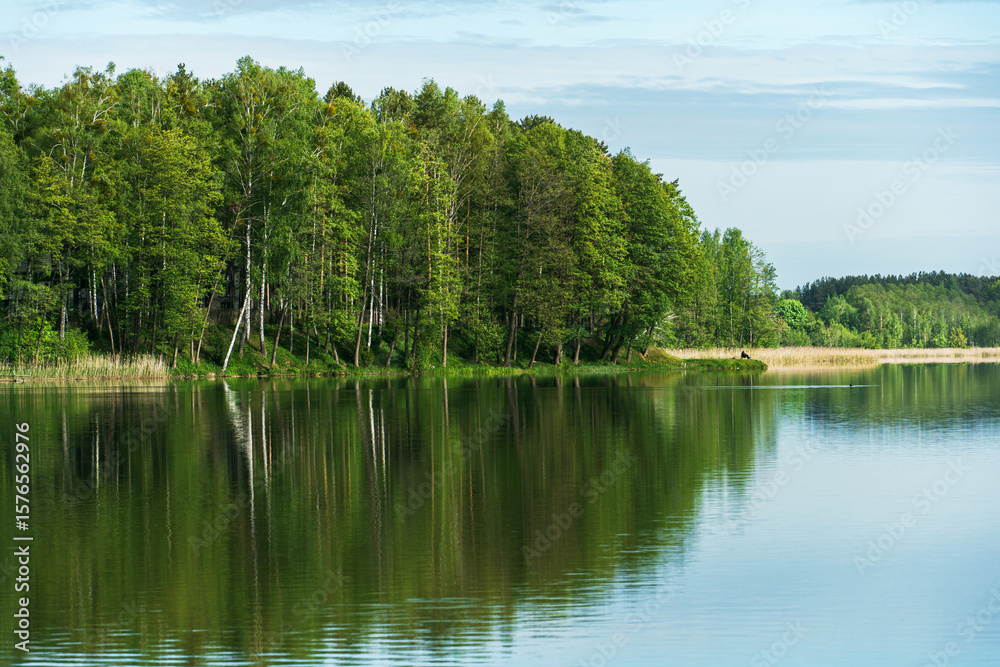 Fototapeta premium Sunny summer landscape on the lake. Reflection of the sky and clouds in the water. A valley of green trees on the shore of a lake. A concept for travel and camping.