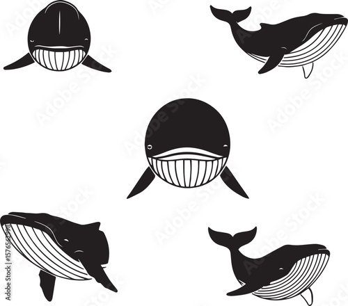 whale face silhouette vector, black and white whale face illustration, minimalistic whale head vector, whale face front view design, stylized whale face artwork, tribal whale head silhouette,