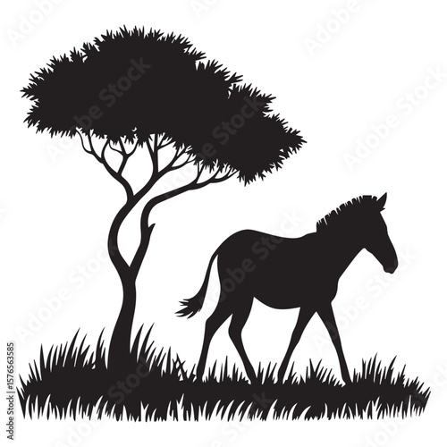 A solitary zebra walks gracefully through a grassy savanna next to a silhouetted acacia tree under a bright white sky