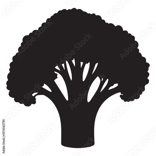 A stark black silhouette of a fresh broccoli floret stands out against a clean white background showcasing its intricate branching structure and textured crown
