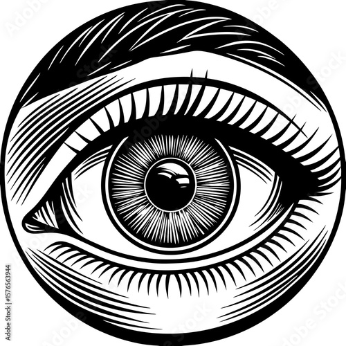human eye vector