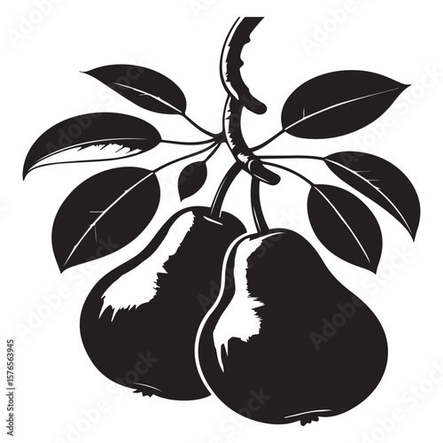 A striking black and white silhouette illustration features two ripe pears hanging from a branch adorned with several dark leaves creating a simple yet elegant natural composition