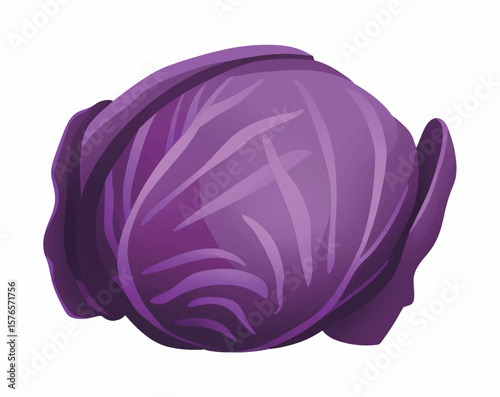 Vector illustration of a whole red cabbage with detailed purple leaves and curved vein patterns. Fresh and vibrant design suitable for food packaging, healthy eating concepts, and recipe visuals.