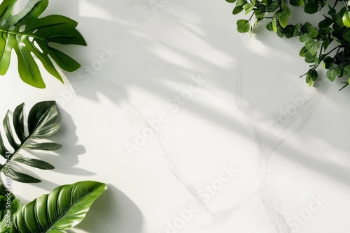 Green Leaves Arranged on a Bright Surface With Shadows During the Afternoon