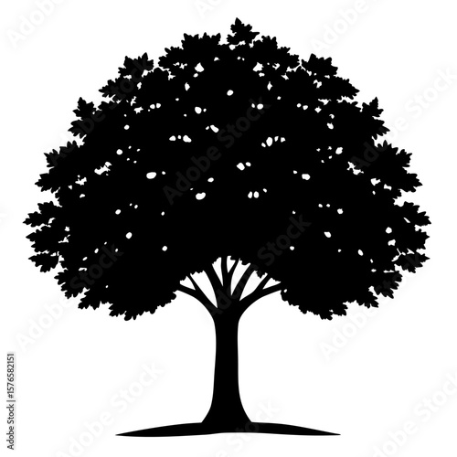 Black walnut tree silhouette vector icon