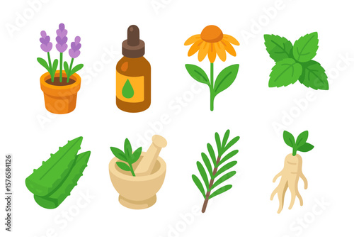Flat herbal elements set: lavender, aloe, ginseng, rosemary, echinacea