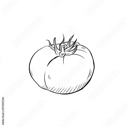 Cartoon vector of a juicy h...