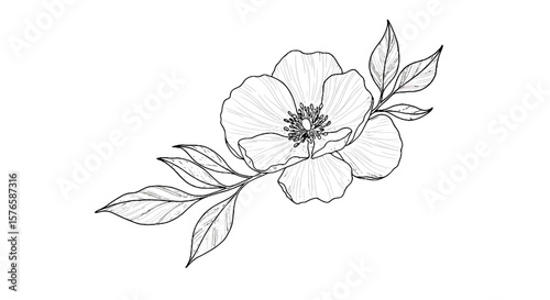 Line art illustration of a flower with leaves  