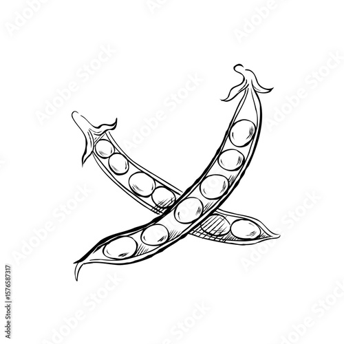 Hand drawn cartoon vector o...