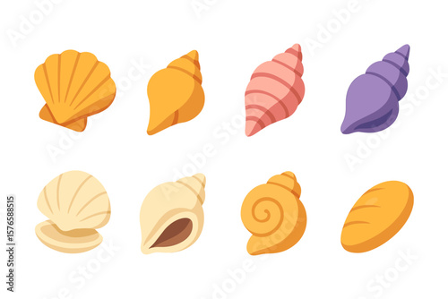Colorful sea shell collection on white background