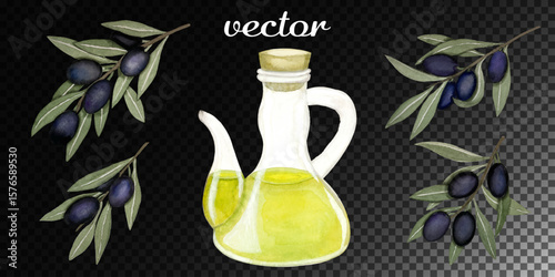 Black olives, olive oil, branches isolated on transparent background. Watercolor - vector 25.