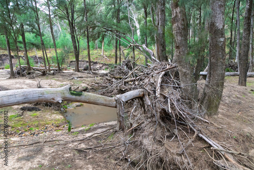 Tableau sur toile Photograph of severe flood damage along the Capertee River in the Capertee Valley in the Wollemi National Park in NSW, Australia