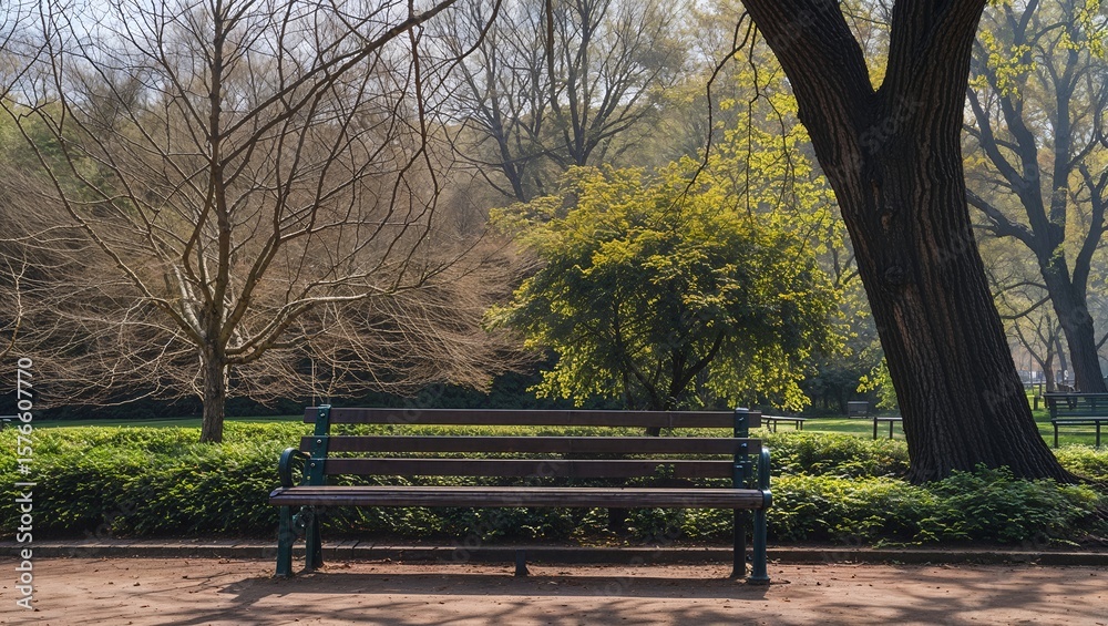 An empty park bench sits between a green bush and a bare tree during autumn or winter, creating a lonely and contemplative scene of solitude and waiting An empty park bench sits between a green bush and a bare tree during autumn or winter, creating a lonely and contemplative scene of solitude and waiting