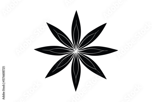 star anise vector icon