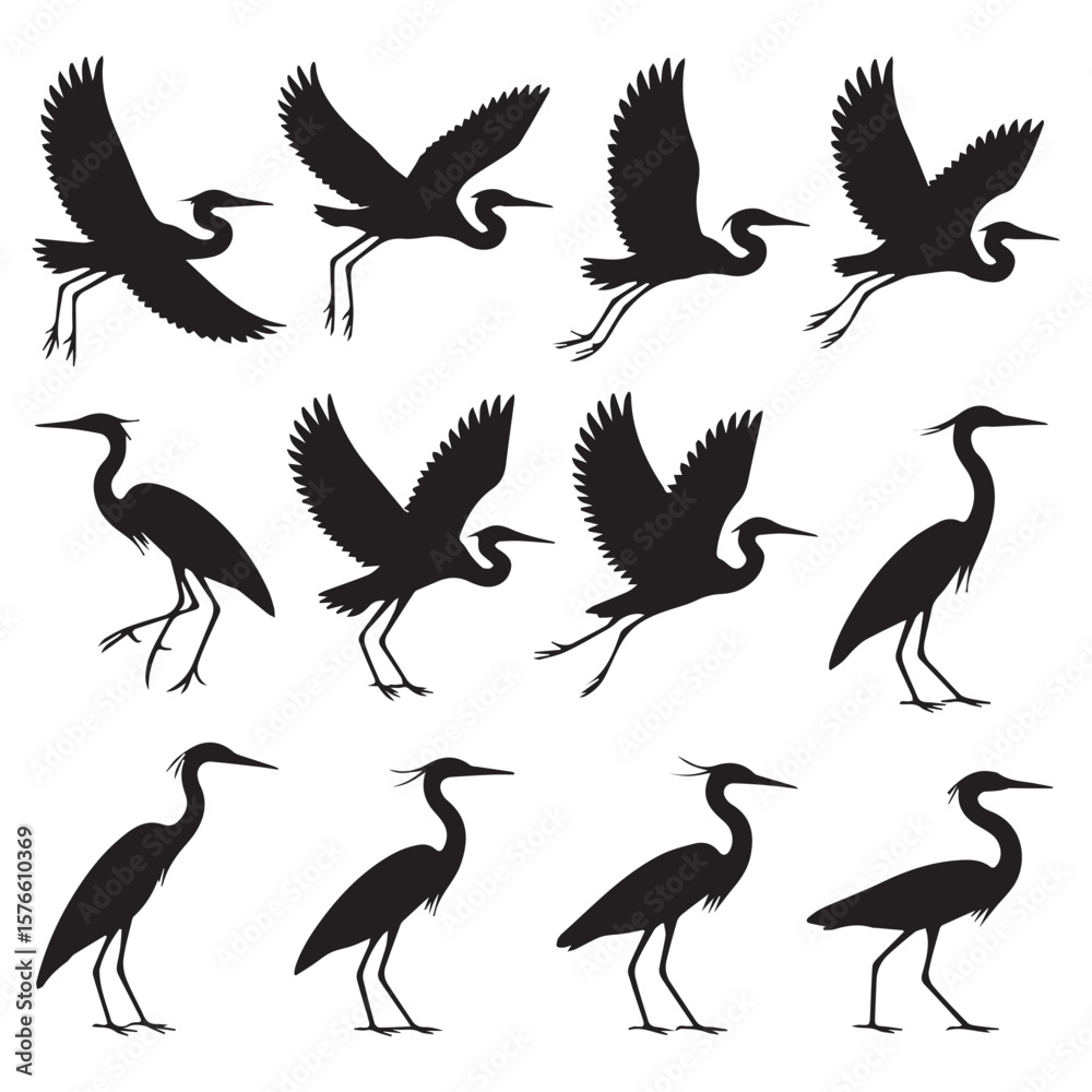 Fototapeta premium Collection of twelve black silhouette herons in various poses including flying and standing against a white background