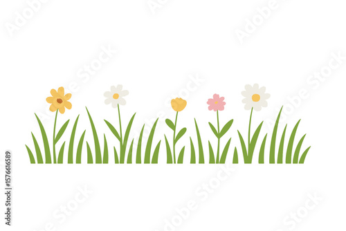 Grass and flower border. Simple meadow background. Cute spring floral nature illustration. Cartoon botanical summer field banner element. Flat vector design for kids invitation.