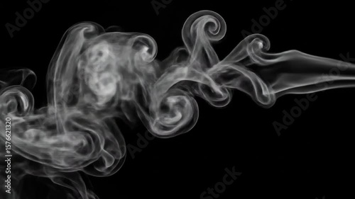 White Smoke Swirls on Black Background