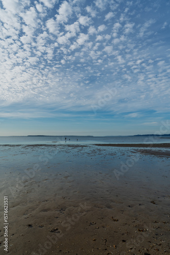 Wallpaper Mural Late afternoon view from Morwong Beach, at low tide. Looking north toward Peel Island. Coochiemudlo Island, Queensland, Australia  Torontodigital.ca