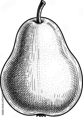 Pear with asymmetrical curves and 3D shading, hand-drawn style