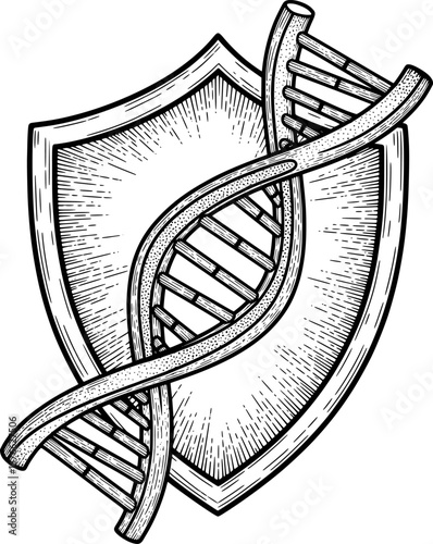 DNA helix wrapped around shield for genetic protection, hand-drawn style