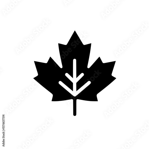 Stylized maple leaf icon with central vein representing natural conservation and Canadian identity