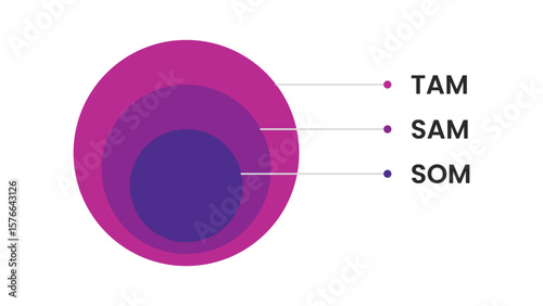 TAM SAM SOM Analysis with Onion Diagram for Market Evaluation