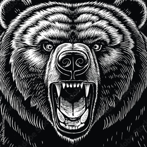 Angry bear head, detailed line art