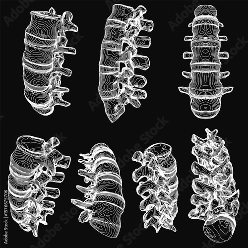 Cervical vertebrae arranged symmetrically on a black background, each with distinct shapes and textures. The white vertebral column contrasts sharply against the dark backdrop.