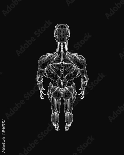 A black and white illustration of a man's muscular system highlights detailed anatomy against a dark background. The diagram clearly displays muscles, ligaments.