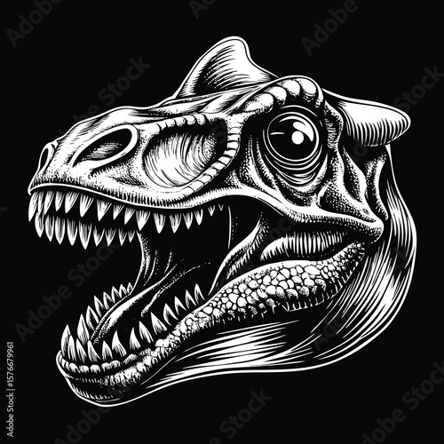 Dinosaur Head Profile, Black Background