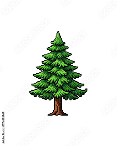 Realistic vector illustration of fir tree on white background. Green fluffy pine, isolated on white background 
