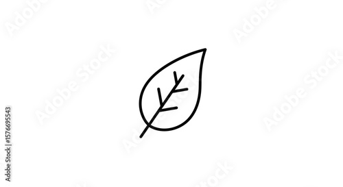 A simple leaf icon isolated on white background in black and white