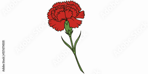 Red carnation flower with green stem and leaves, Vector illustration of a red carnation flower with ruffled petals, a green stem, and three leaves, featuring a bold and elegant design.