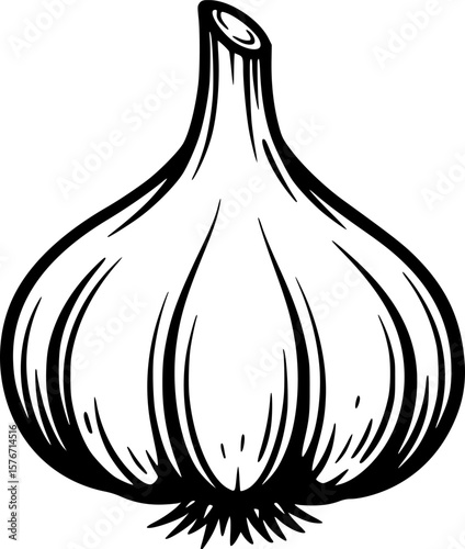 Bold black and white vector illustration of a garlic bulb, ready for cooking
