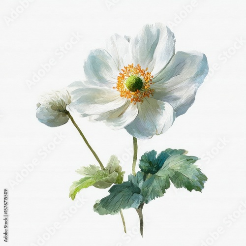 Delicate white flower with unopened bud and green leaves, painted in soft hues