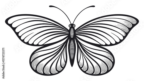 Butterfly Silhouette – Bold Line Art Vector Illustration