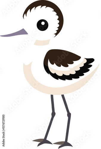 Shore Bird Vector