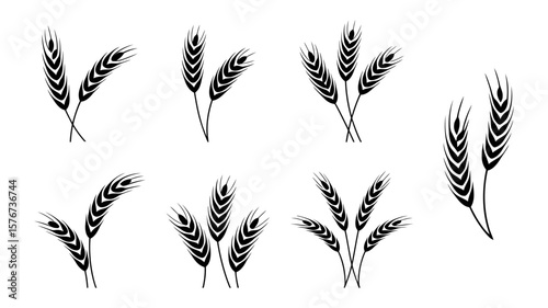 Collection of black wheat stalk icons on a whitebackground