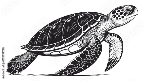Turtle Silhouette – Bold Line Art Vector Illustration