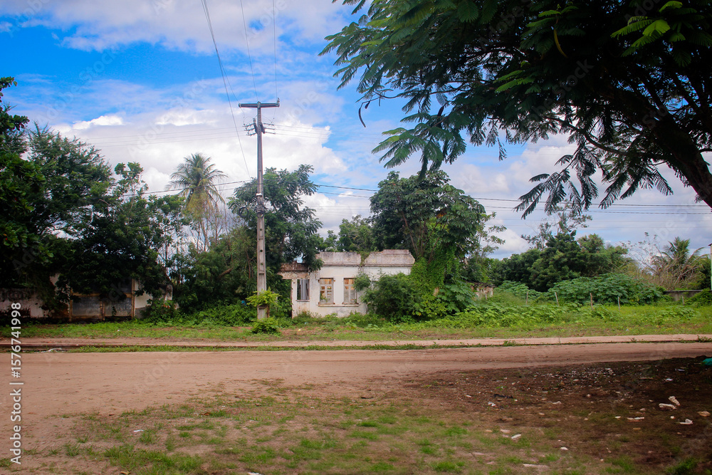 Fototapeta premium abandoned house, ruins of a simple and old house, house in a rural area, surrounded by dense vegetation and trees, old rural house surrounded by greenery, countryside landscape with vintage home 