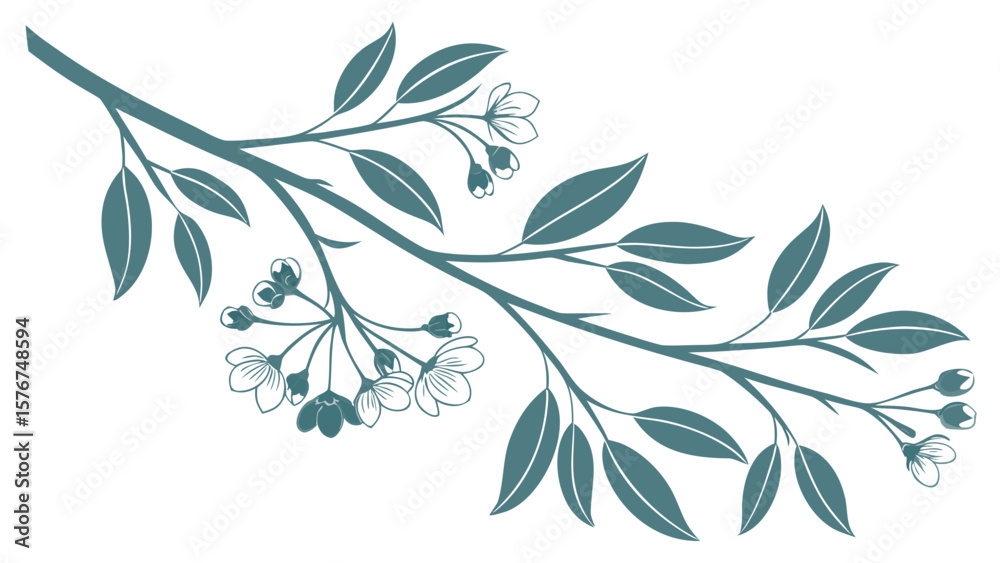 Fototapeta premium Stylized teal branch with leaves and blooming cherry blossoms on white background