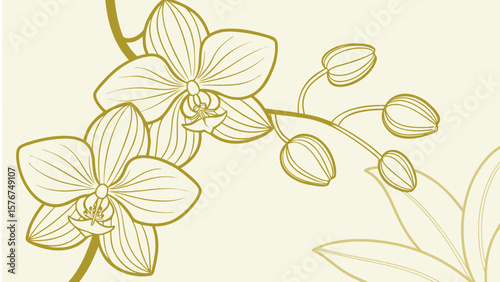 Elegant gold line art of orchid flowers and buds on a light cream background