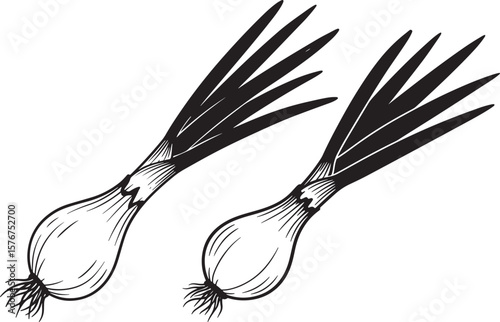 Simple green onion silhouette for culinary designs
