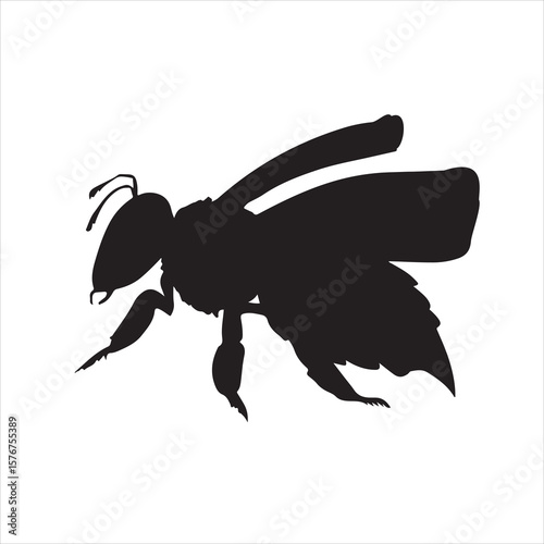 silhouette of bee