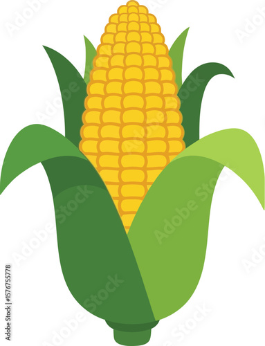 Illustration of a corn cob with green leaves on a plain white background